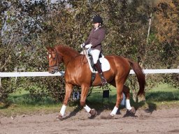 IMG_7782_web